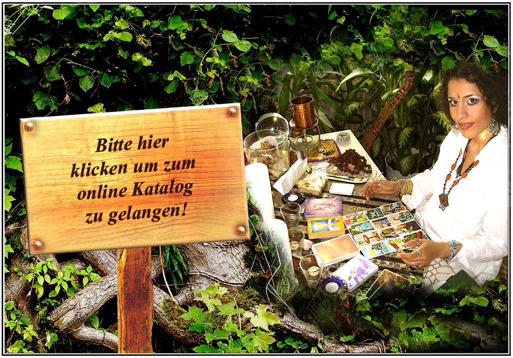 Bitte hier klicken um zur Gallery zu gelangen!